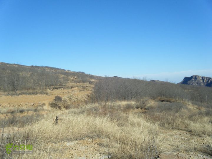 15.1.10峡沟水库阴河沟王硇DSCF0050