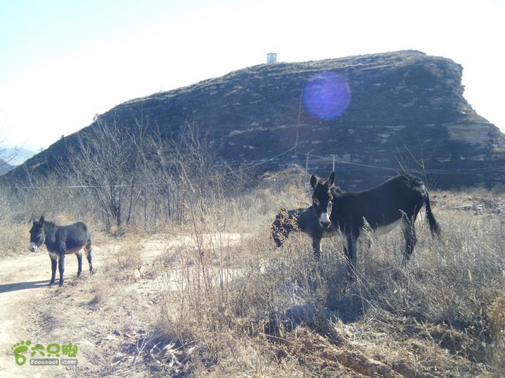 15.1.10峡沟水库阴河沟王硇DSCF0052