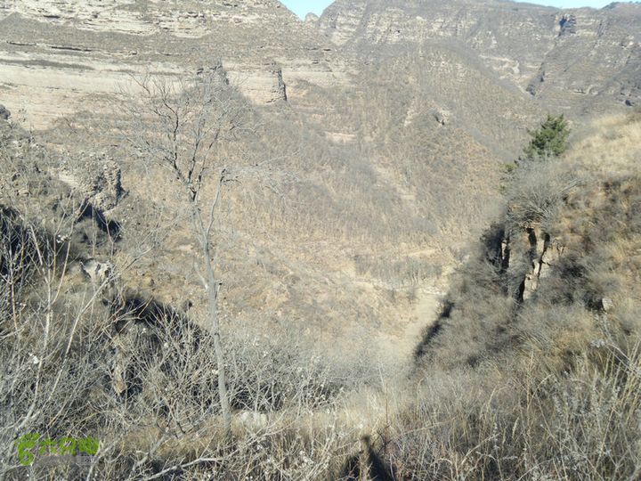 15.1.10峡沟水库阴河沟王硇DSCF0056