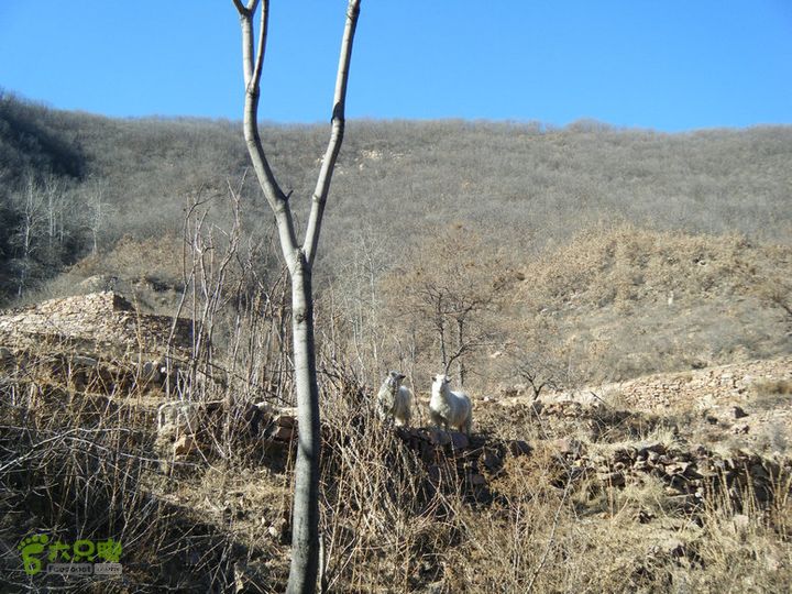 15.1.10峡沟水库阴河沟王硇DSCF0058