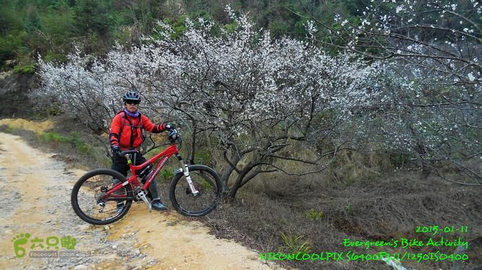 2015 01 11 - 500M、花樹下水庫DSCN3705