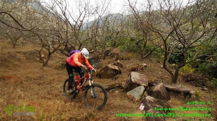 2015 01 11 - 500M、花樹下水庫DSCN3706