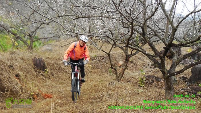 2015 01 11 - 500M、花樹下水庫DSCN3707