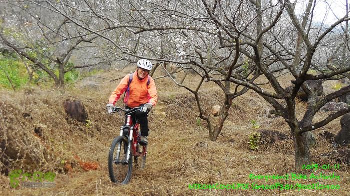 2015 01 11 - 500M、花樹下水庫DSCN3708