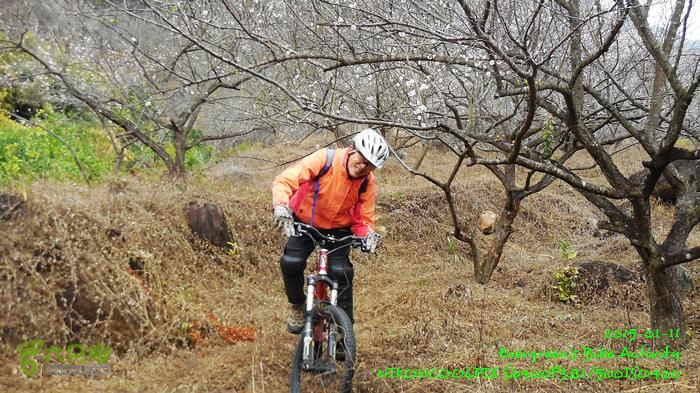 2015 01 11 - 500M、花樹下水庫DSCN3710