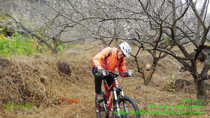 2015 01 11 - 500M、花樹下水庫DSCN3711