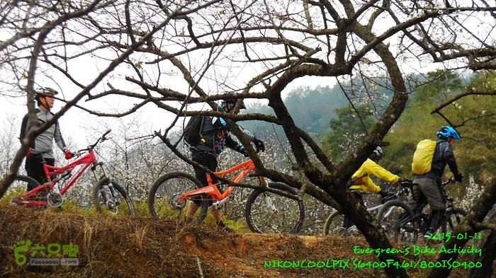 2015 01 11 - 500M、花樹下水庫DSCN3720