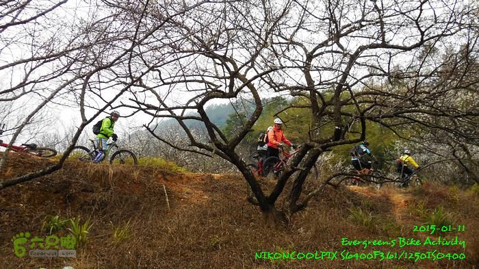 2015 01 11 - 500M、花樹下水庫DSCN3721