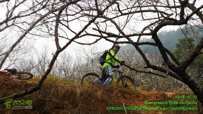 2015 01 11 - 500M、花樹下水庫DSCN3723