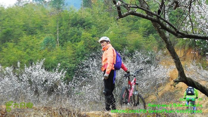 2015 01 11 - 500M、花樹下水庫DSCN3724