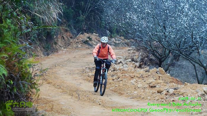 2015 01 11 - 500M、花樹下水庫DSCN3729