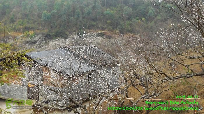 2015 01 11 - 500M、花樹下水庫DSCN3774