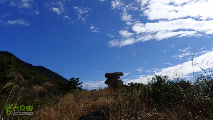 雁荡山砩头村百岗尖反穿十八洞前往凌云尖路上的标志性石头，蘑菇石