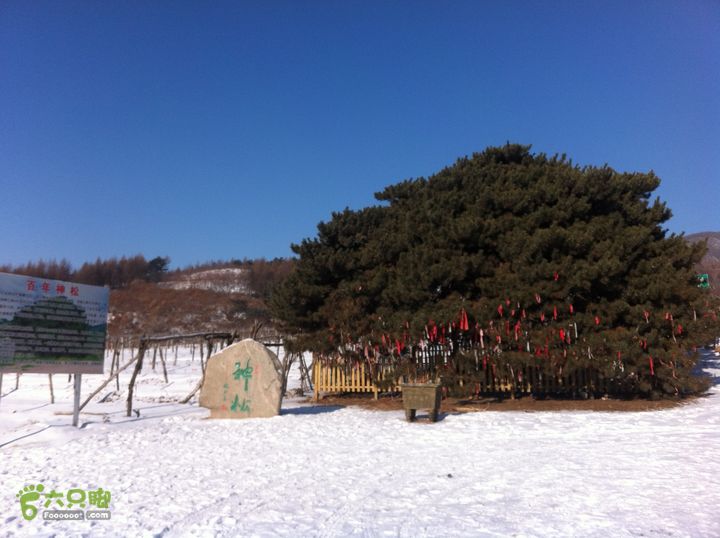 皇顶山小环IMG_3436