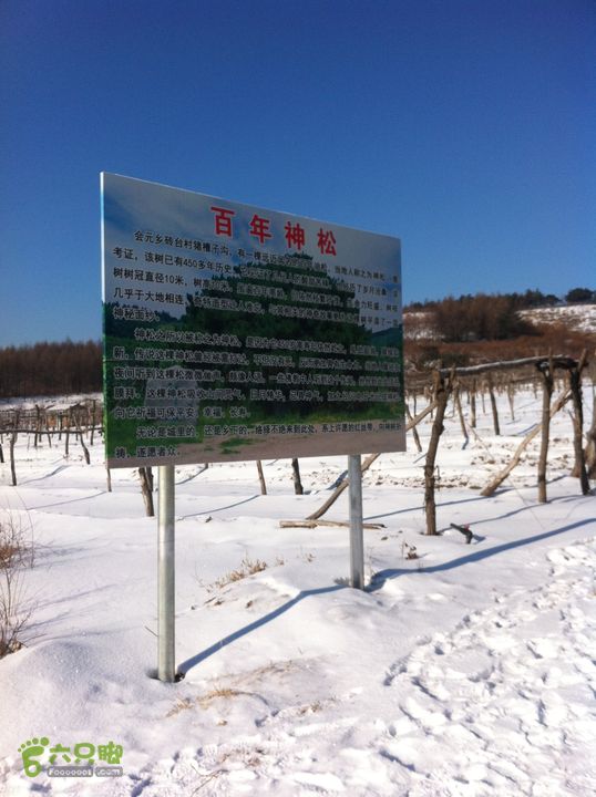 皇顶山小环IMG_3440