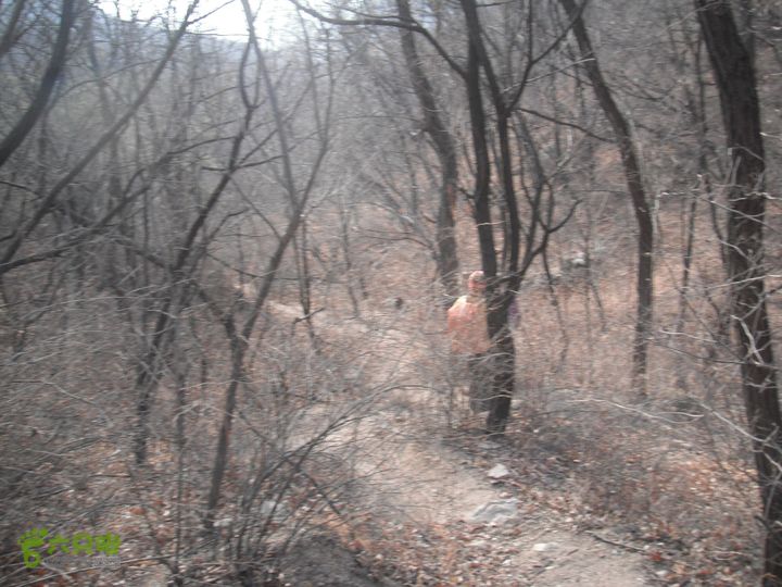暖水面-松树沟-大岭沟-边墙子-锥臼峪DSCF5192