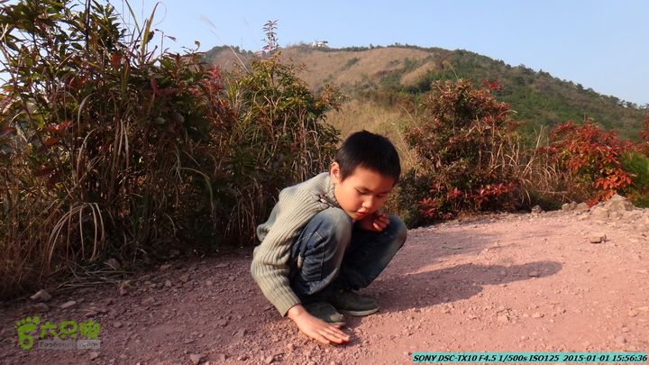 20150101-尧山(公路上航专下)DSC04321