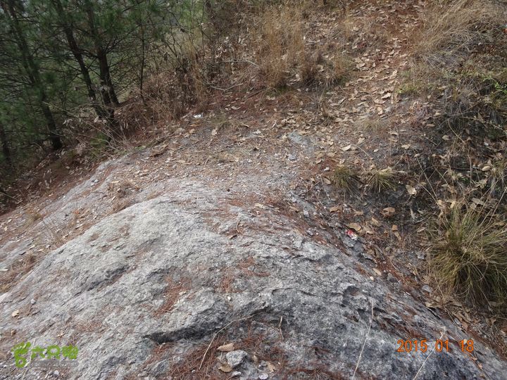 缙云乌大岩环行DSC00088