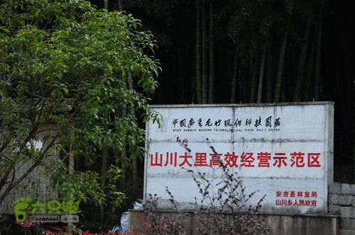 山川乡续目村——赤豆洋DSC_7684_副本