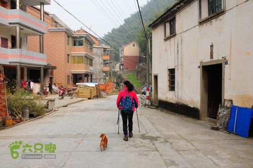 云石骆家舍－通天突－老鹰石－白云庵－船坞山－骆家舍环线DSC_7987_副本