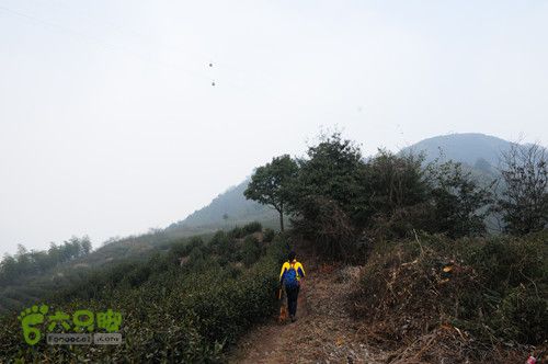 云石骆家舍－通天突－老鹰石－白云庵－船坞山－骆家舍环线DSC_7969_副本