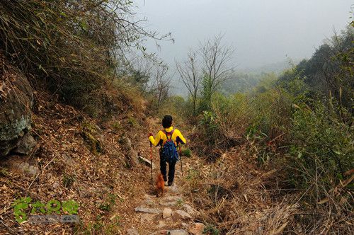 云石骆家舍－通天突－老鹰石－白云庵－船坞山－骆家舍环线DSC_7974_副本