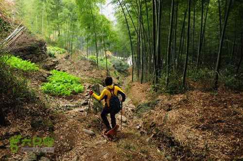 云石骆家舍－通天突－老鹰石－白云庵－船坞山－骆家舍环线DSC_7980_副本