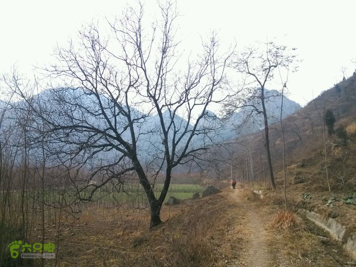 新民九龙山水渠