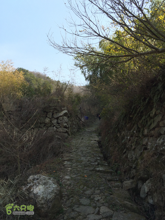 鄞州黃泥岭古道古人杰作