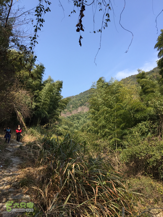 鄞州黃泥岭古道美吗？