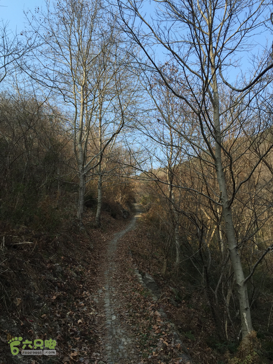 鄞州黃泥岭古道落叶归根