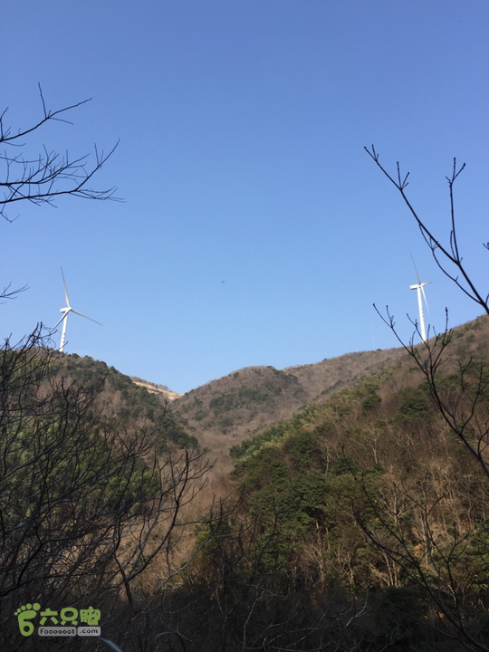 鄞州黃泥岭古道绿树灌木风车