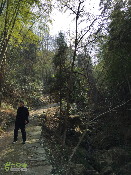 鄞州黃泥岭古道山间小溪