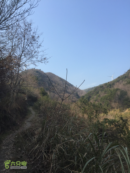 鄞州黃泥岭古道近山顶夹山岙的冬天