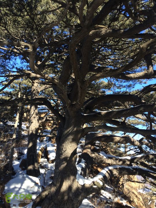 千山飞鸿穿越：太和门-仙人台--大安寺-石龙庵-积翠门IMG_9378