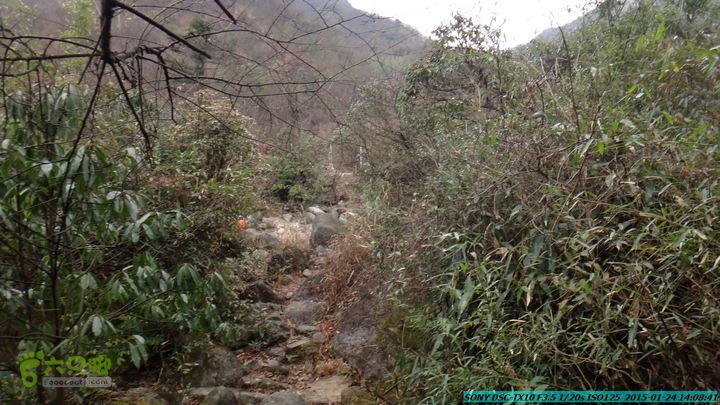 20150124-石牌山（四排山）-桂林驴先锋户外DSC04458