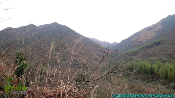 20150124-石牌山（四排山）-桂林驴先锋户外DSC04465