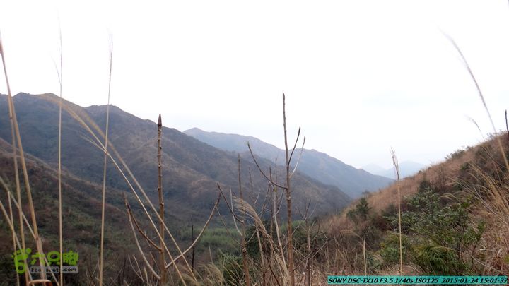 20150124-石牌山（四排山）-桂林驴先锋户外DSC04473