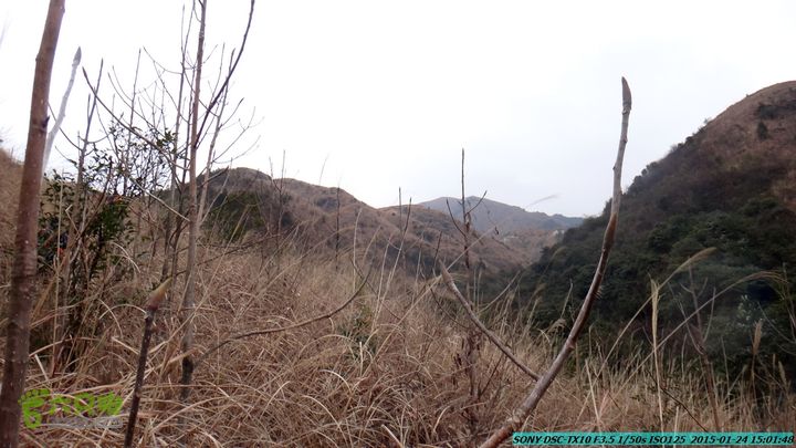 20150124-石牌山（四排山）-桂林驴先锋户外DSC04475