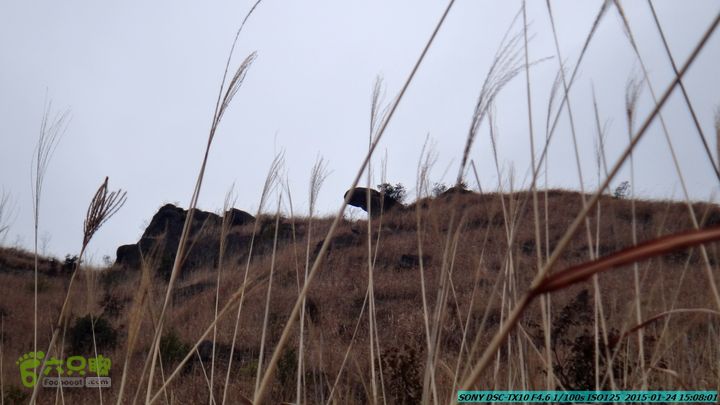 20150124-石牌山（四排山）-桂林驴先锋户外DSC04476