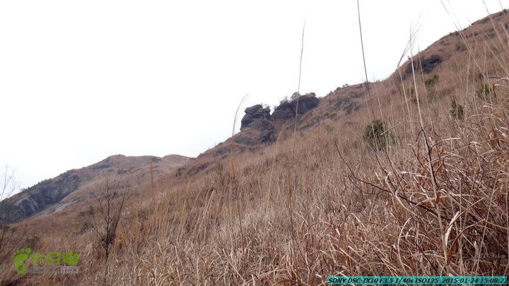 20150124-石牌山（四排山）-桂林驴先锋户外DSC04478