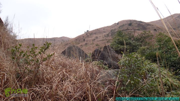 20150124-石牌山（四排山）-桂林驴先锋户外DSC04482