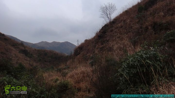 20150124-石牌山（四排山）-桂林驴先锋户外DSC04484