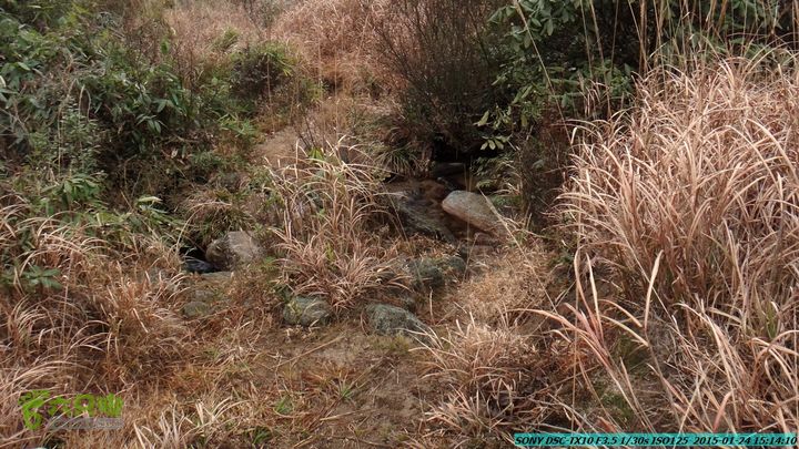 20150124-石牌山（四排山）-桂林驴先锋户外DSC04485