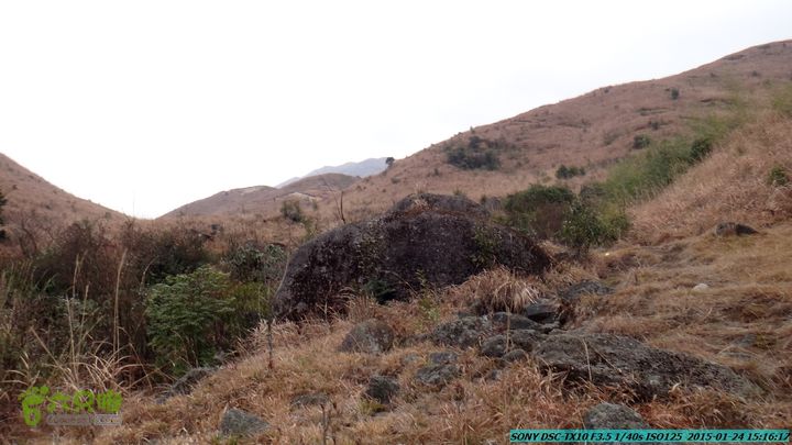 20150124-石牌山（四排山）-桂林驴先锋户外DSC04486