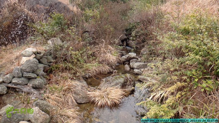 20150124-石牌山（四排山）-桂林驴先锋户外DSC04489