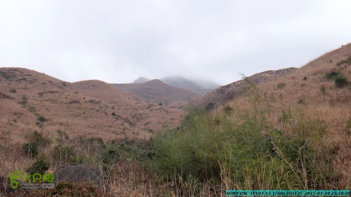 20150124-石牌山（四排山）-桂林驴先锋户外DSC04493