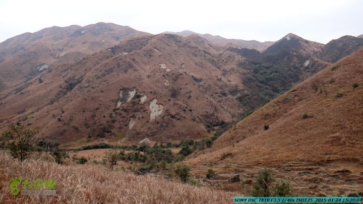 20150124-石牌山（四排山）-桂林驴先锋户外DSC04498