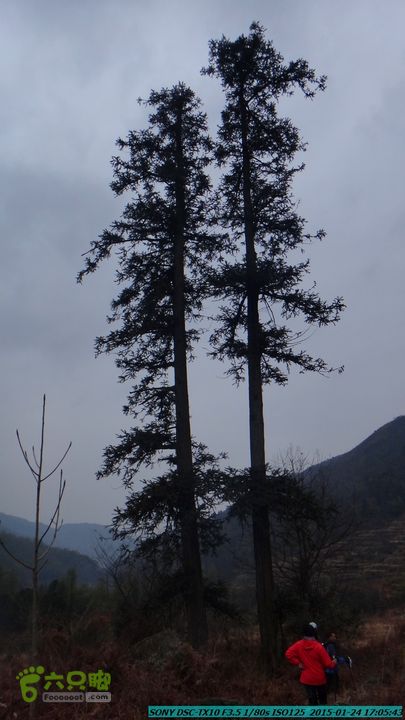 20150124-石牌山（四排山）-桂林驴先锋户外DSC04516