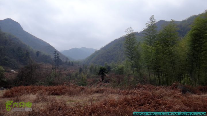 20150124-石牌山（四排山）-桂林驴先锋户外DSC04521